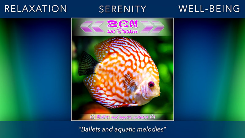 "Aquatic ballets and melodies" YouTube click on the picture