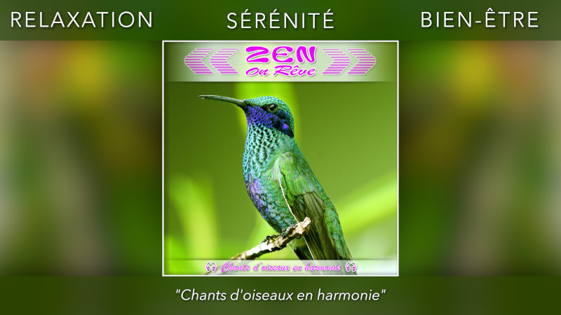 "Chants d’oiseaux en harmonie" YouTube cliquez sur l’image