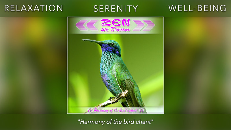 "Bird songs in harmony" YouTube click on the picture